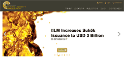Desktop Screenshot of iilm.com